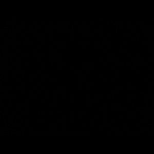 Meet your Posher, Silas